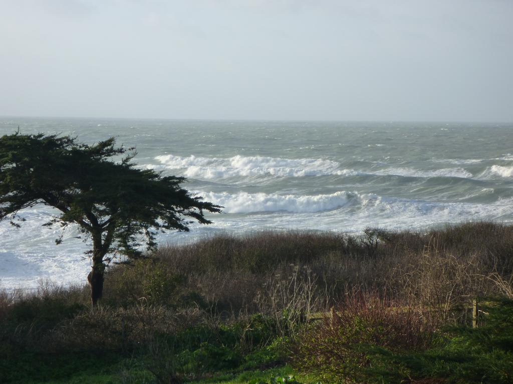 La Criste Marine Bed & Breakfast Groix Rom bilde